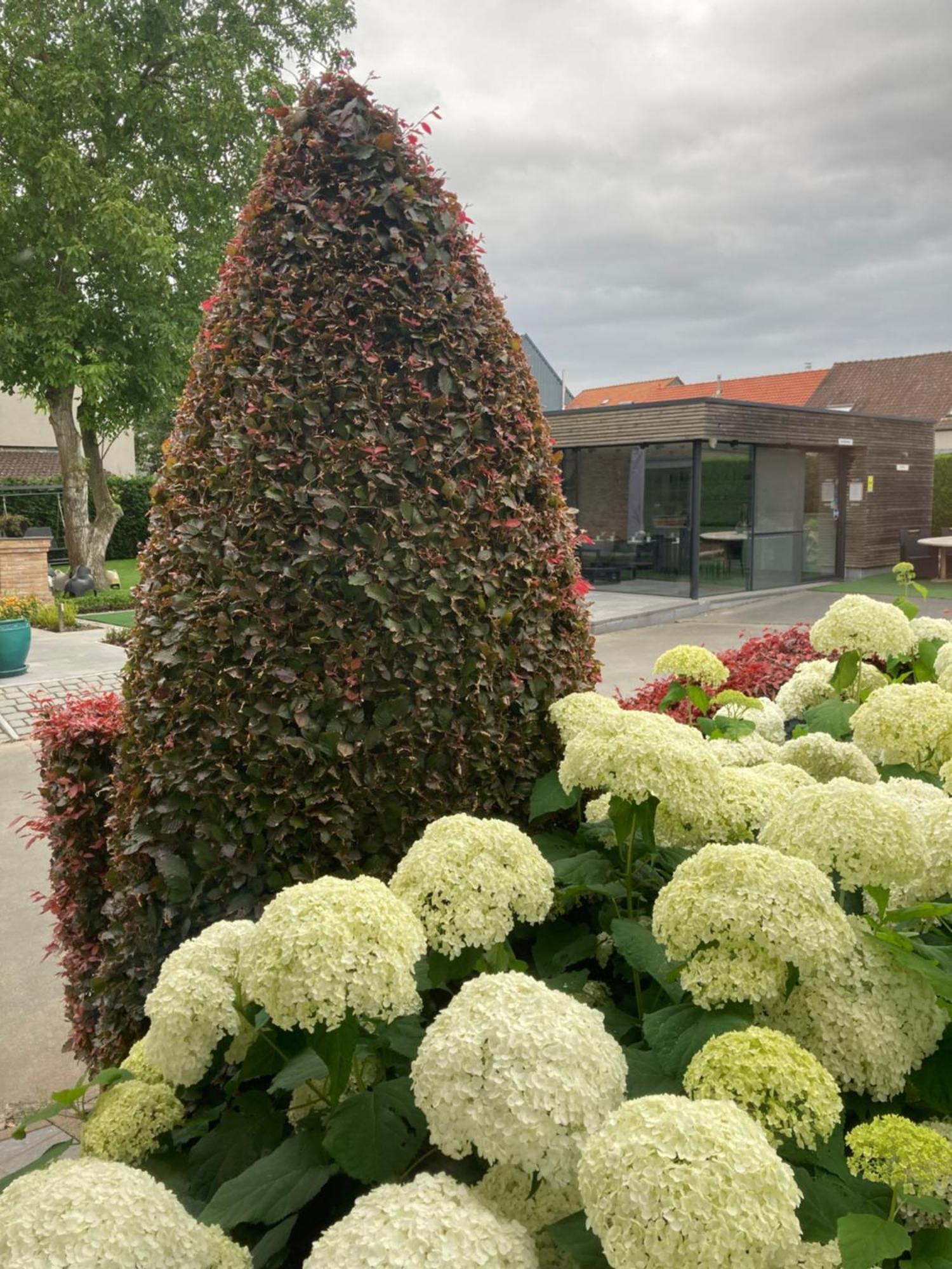 B&B Bertem Natuur Exterior foto